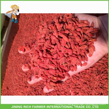 2016 Fresh organic dried goji berry from Ningxia